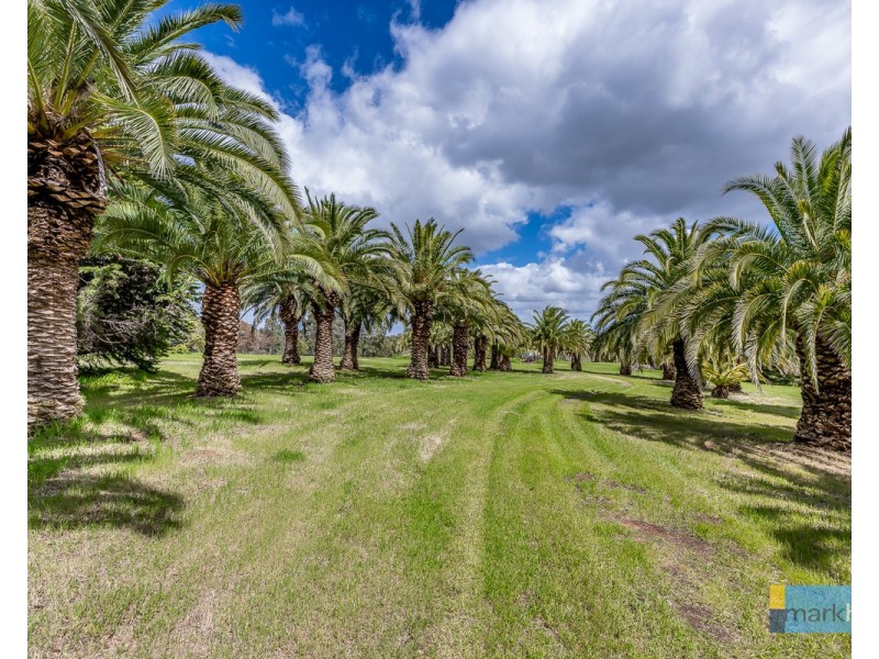 46 Camargue Drive, Brigadoon WA 6069
