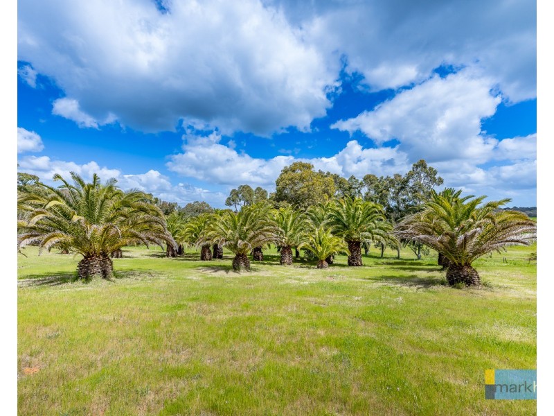 46 Camargue Drive, Brigadoon WA 6069