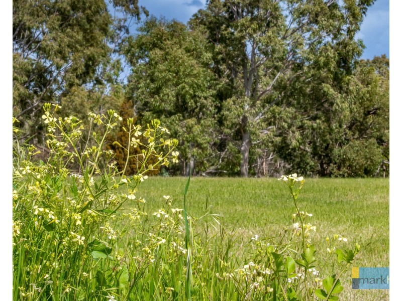 46 Camargue Drive, Brigadoon WA 6069