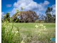 46 Camargue Drive, Brigadoon WA 6069