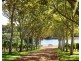 Lot 80 Burchardia Crescent, Donnybrook WA 6239