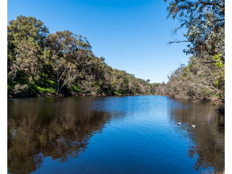 Lot 80 Burchardia Crescent, Donnybrook WA 6239