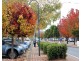 Lot 80 Burchardia Crescent, Donnybrook WA 6239
