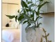 Premium 2 Bed/13 Vincent Street, Nedlands WA 6009