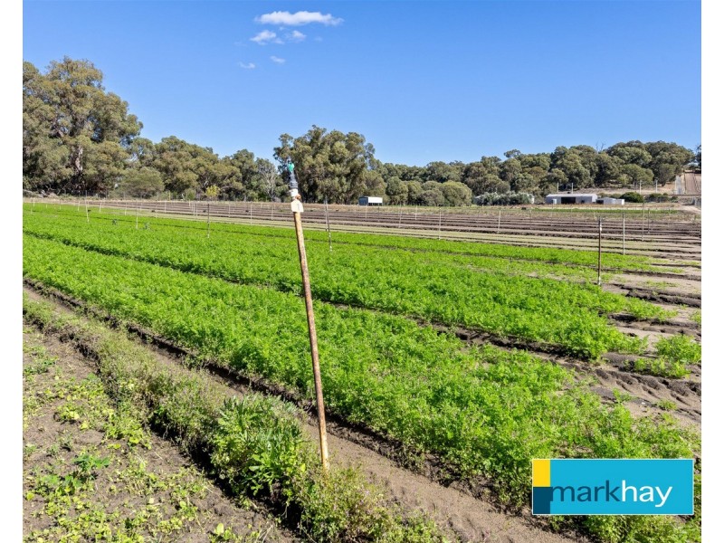 89 Fletcher Road, Karnup WA 6176