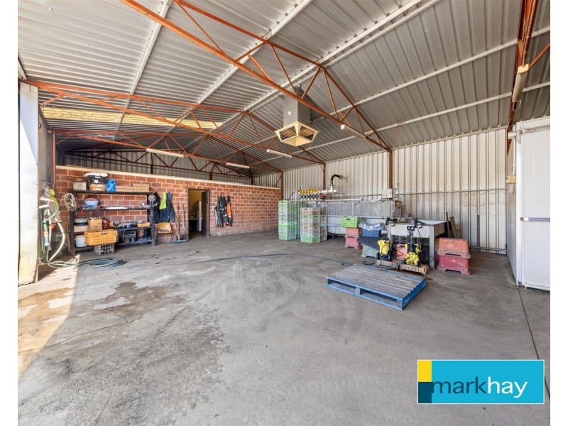89 Fletcher Road, Karnup WA 6176