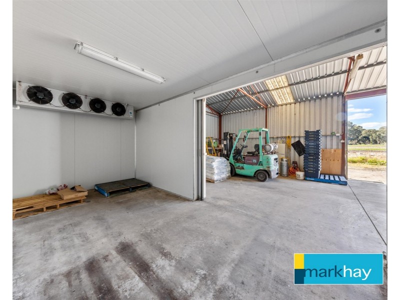 89 Fletcher Road, Karnup WA 6176