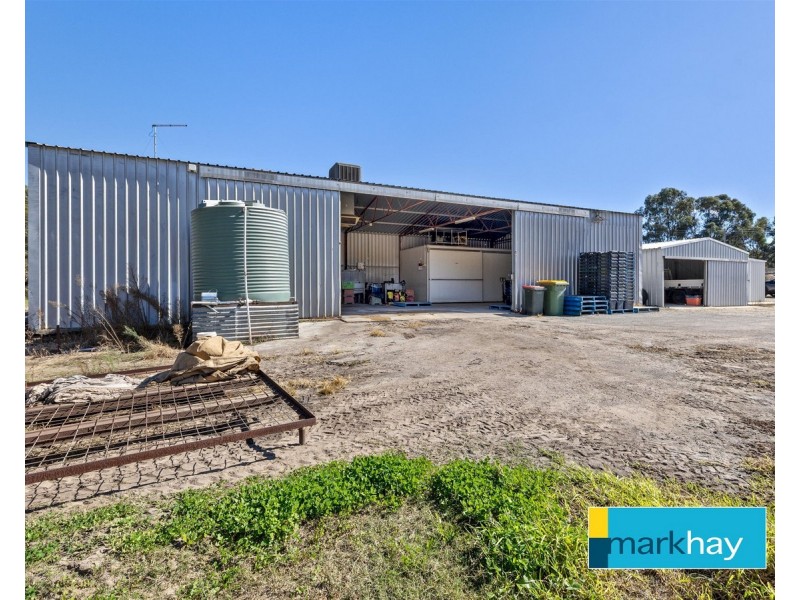 89 Fletcher Road, Karnup WA 6176