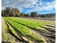 89 Fletcher Road, Karnup WA 6176