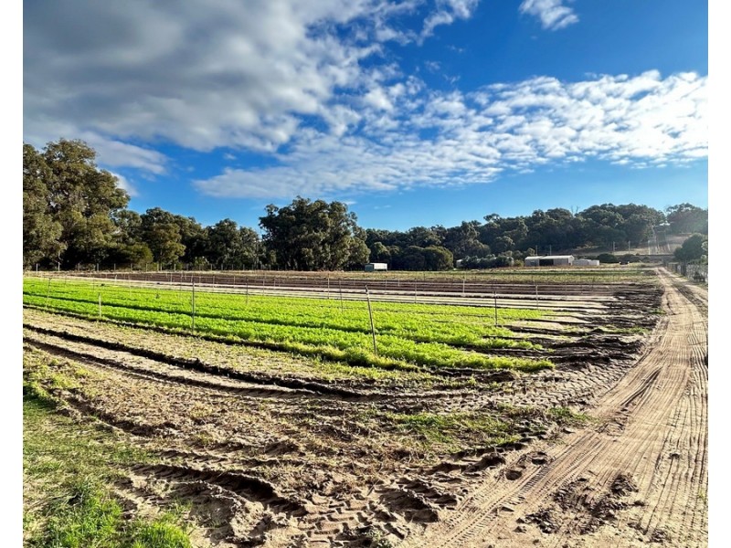 89 Fletcher Road, Karnup WA 6176