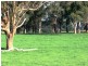 225 Whitelaws Track, Leongatha South VIC 3953