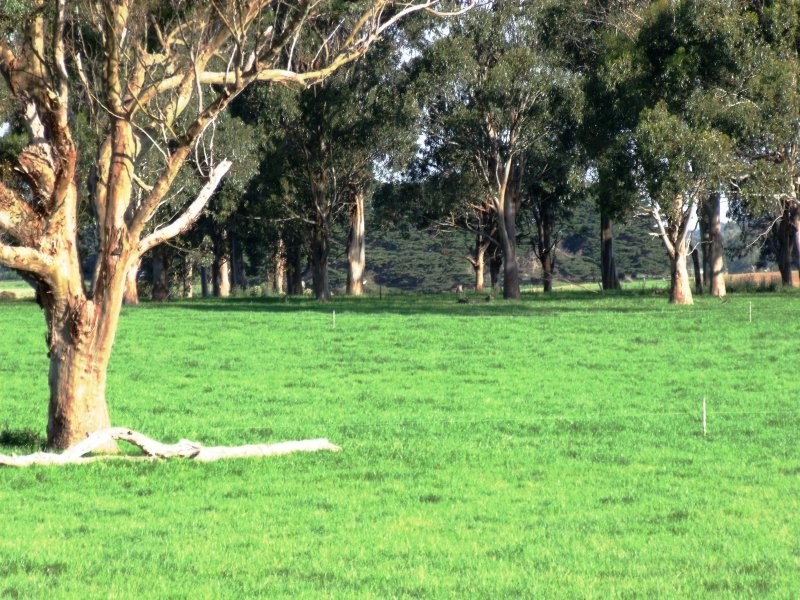 225 Whitelaws Track, Leongatha South VIC 3953