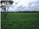 225 Whitelaws Track, Leongatha South VIC 3953