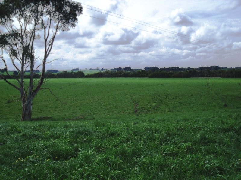 225 Whitelaws Track, Leongatha South VIC 3953
