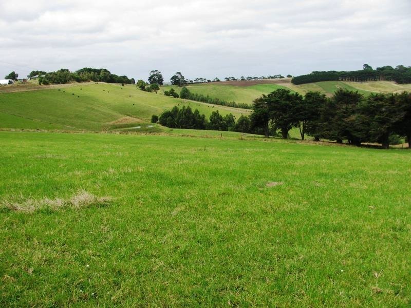 Bena-Kongwak Road, Bena VIC 3946