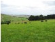Bena-Kongwak Road, Bena VIC 3946