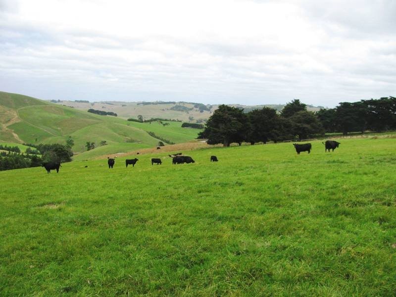 Bena-Kongwak Road, Bena VIC 3946