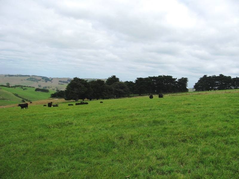 Bena-Kongwak Road, Bena VIC 3946