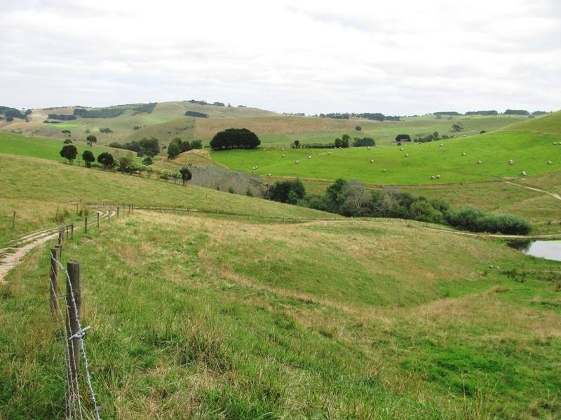 Bena-Kongwak Road, Bena VIC 3946