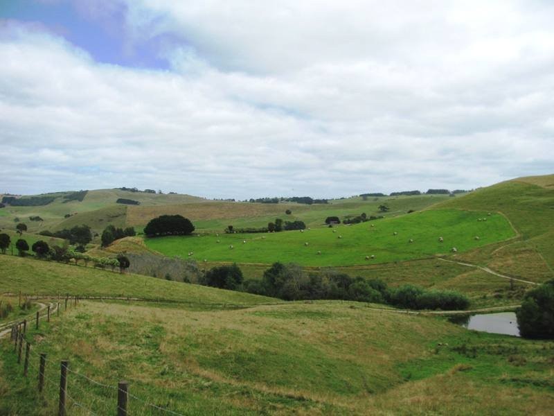 Bena-Kongwak Road, Bena VIC 3946