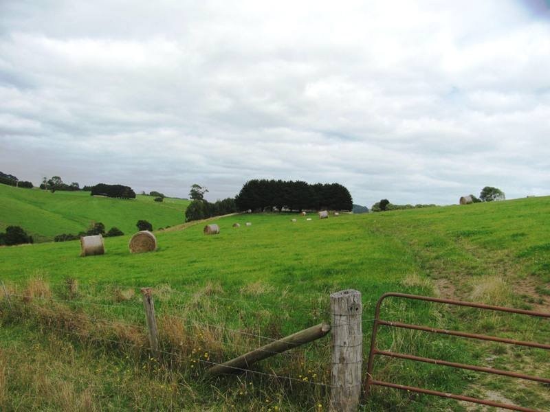 Bena-Kongwak Road, Bena VIC 3946