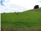Bena-Kongwak Road, Bena VIC 3946