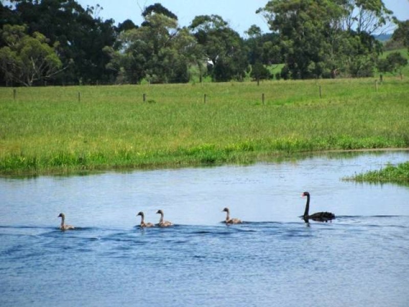 35 Pyles Road, Meeniyan VIC 3956