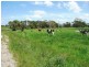 35 Pyles Road, Meeniyan VIC 3956