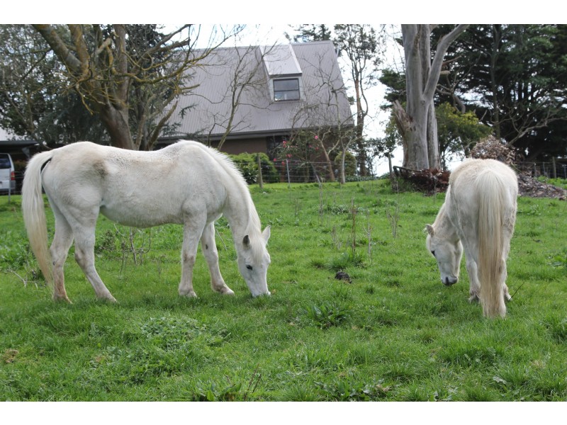 65 Korumburra-Bena Road, Korumburra VIC 3950