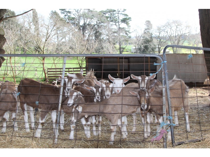 65 Korumburra-Bena Road, Korumburra VIC 3950