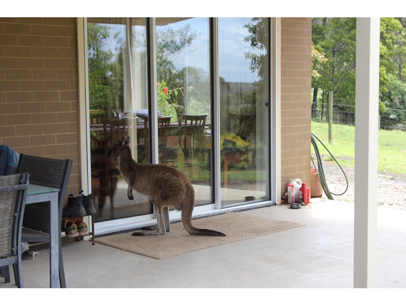 295 Gurdies St. Helliers Road, The Gurdies VIC 3984