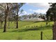 295 Gurdies St. Helliers Road, The Gurdies VIC 3984