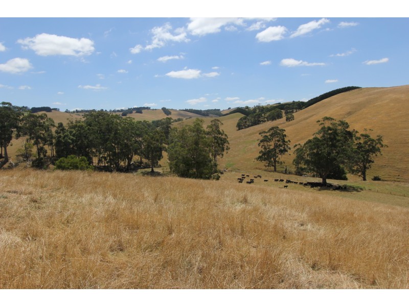 605 Bena-Kongwak Road, Bena VIC 3946