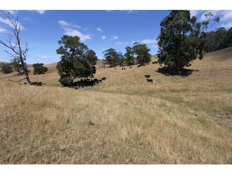 605 Bena-Kongwak Road, Bena VIC 3946