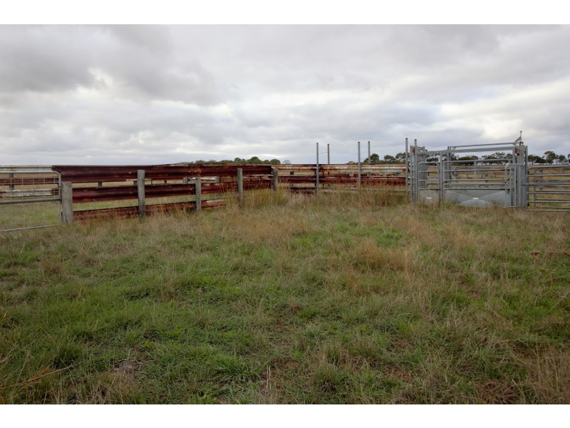 65 Clump Road, French Island VIC 3921