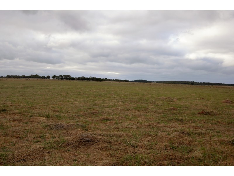 65 Clump Road, French Island VIC 3921