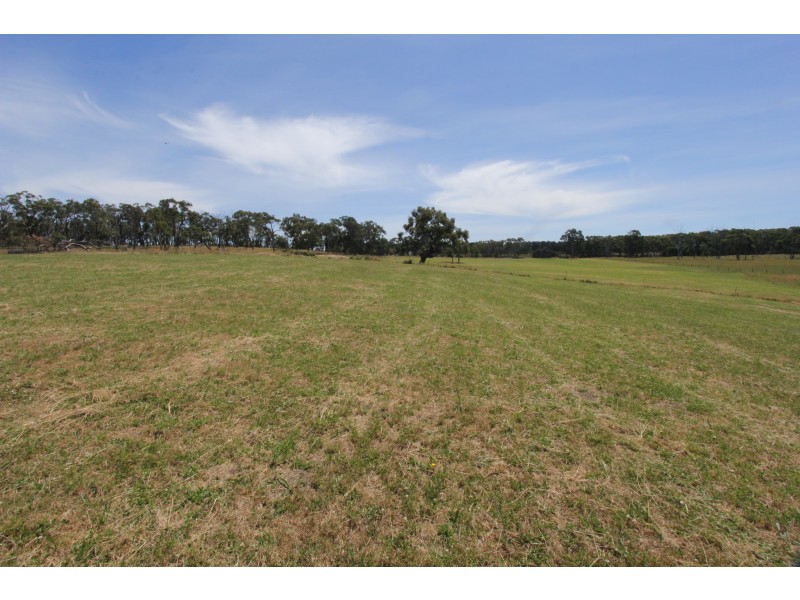 Korumburra-Wonthaggi Road, Kongwak VIC 3951