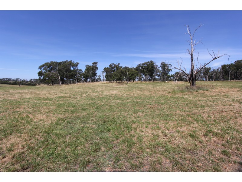 Korumburra-Wonthaggi Road, Kongwak VIC 3951