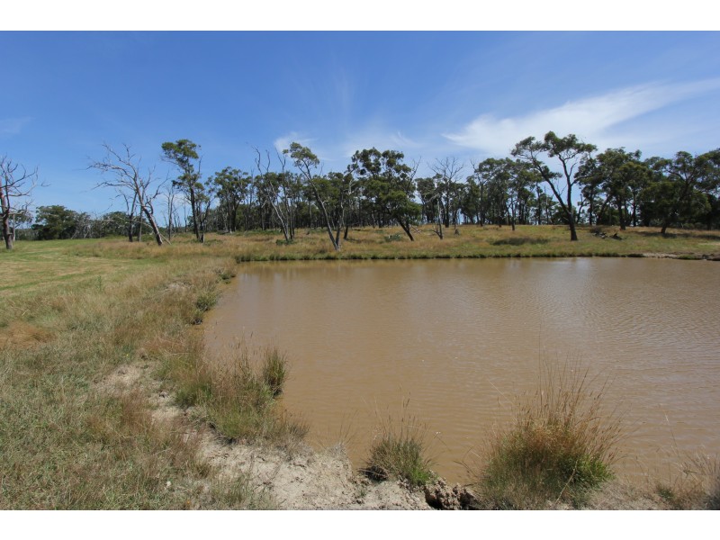 Korumburra-Wonthaggi Road, Kongwak VIC 3951