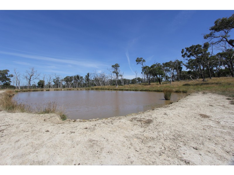 Korumburra-Wonthaggi Road, Kongwak VIC 3951