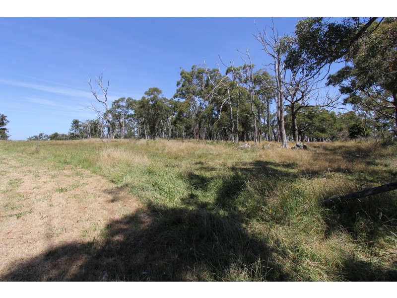 Korumburra-Wonthaggi Road, Kongwak VIC 3951