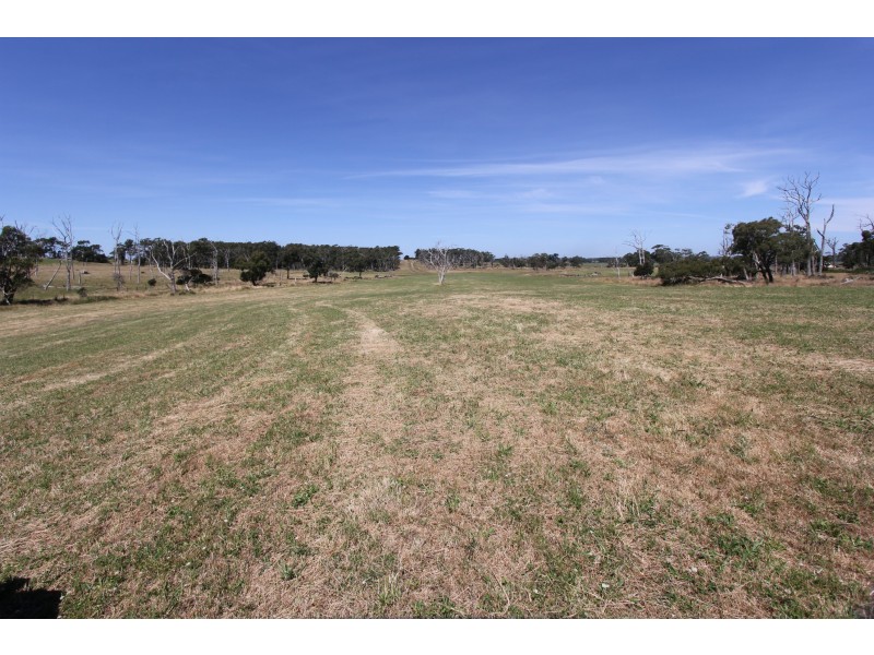 Korumburra-Wonthaggi Road, Kongwak VIC 3951