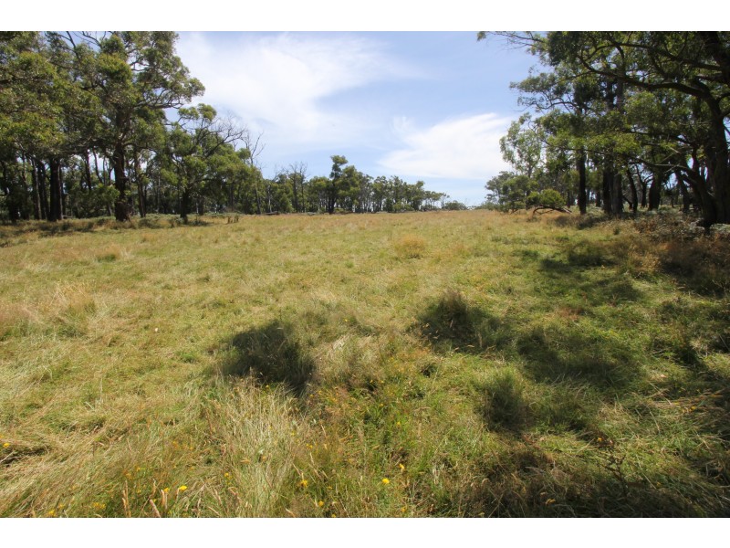 Korumburra-Wonthaggi Road, Kongwak VIC 3951