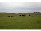 Sheepways Road, Krowera VIC 3945