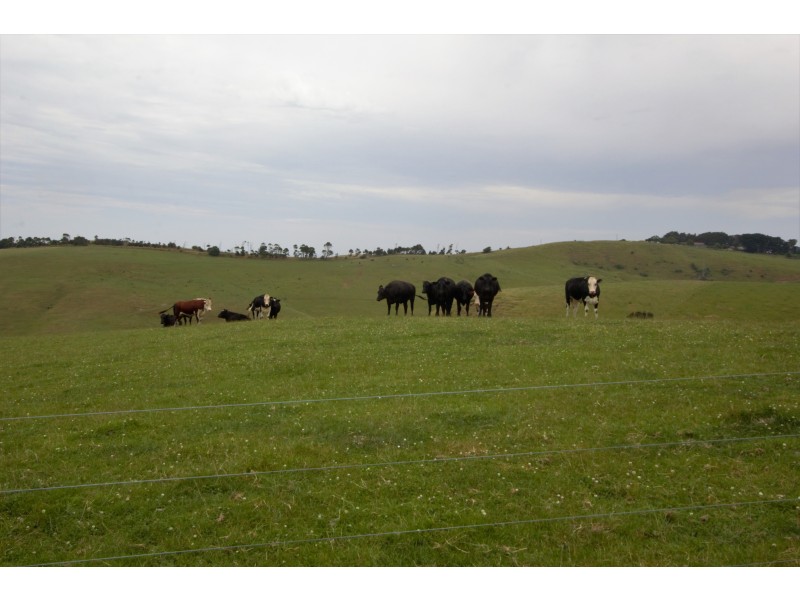 Sheepways Road, Krowera VIC 3945