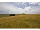 Sheepways Road, Krowera VIC 3945