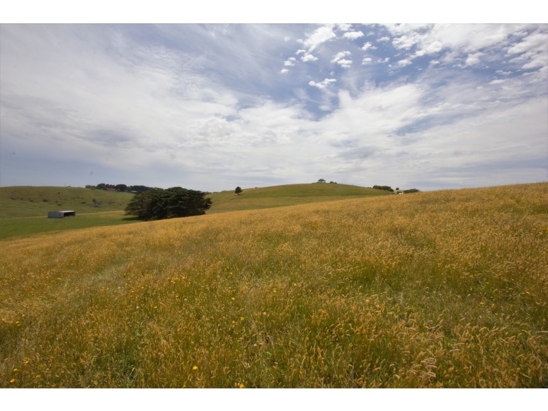 Sheepways Road, Krowera VIC 3945