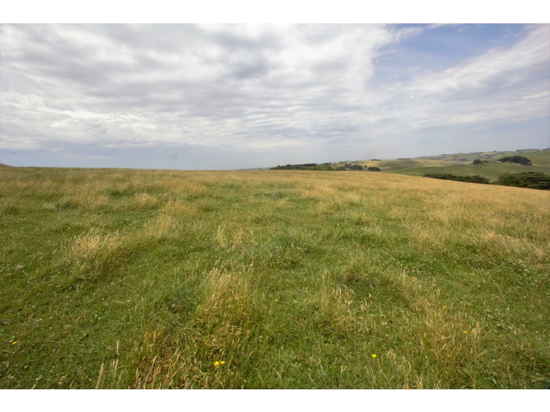 Sheepways Road, Krowera VIC 3945