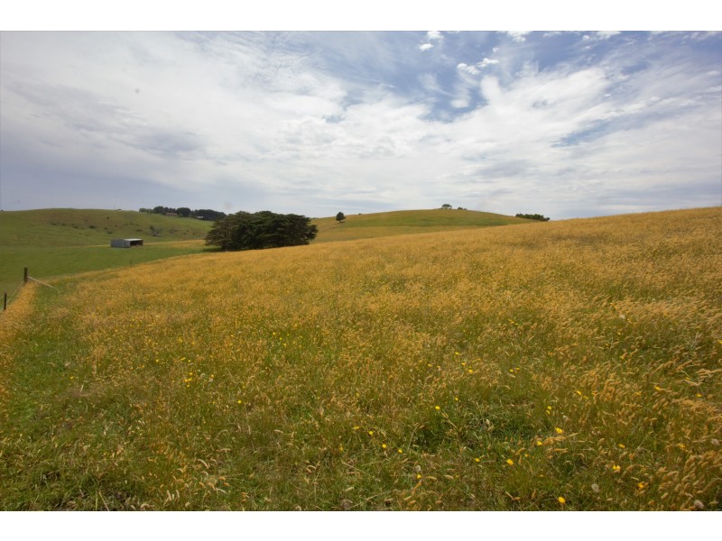 Sheepways Road, Krowera VIC 3945
