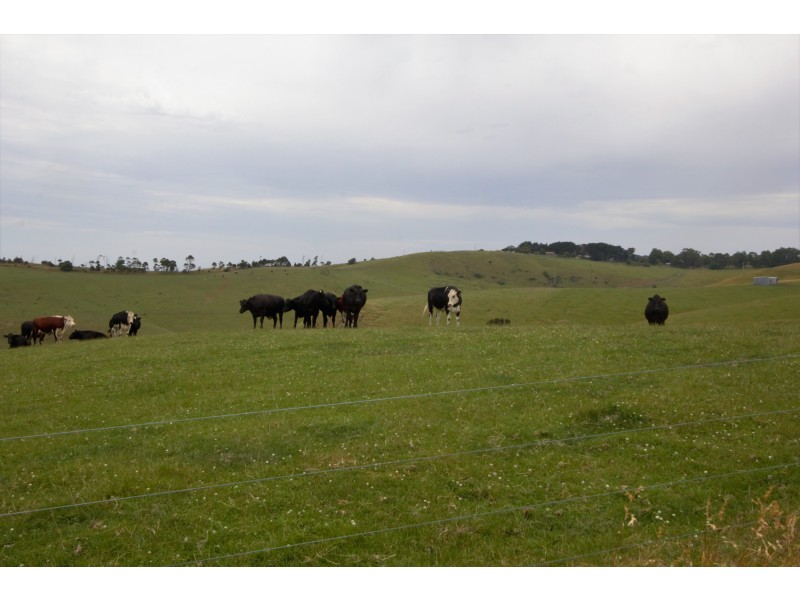 Sheepways Road, Krowera VIC 3945